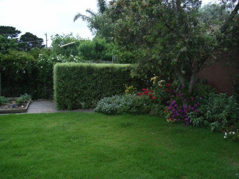 81 Seaview Avenue, Safety Beach VIC 3936