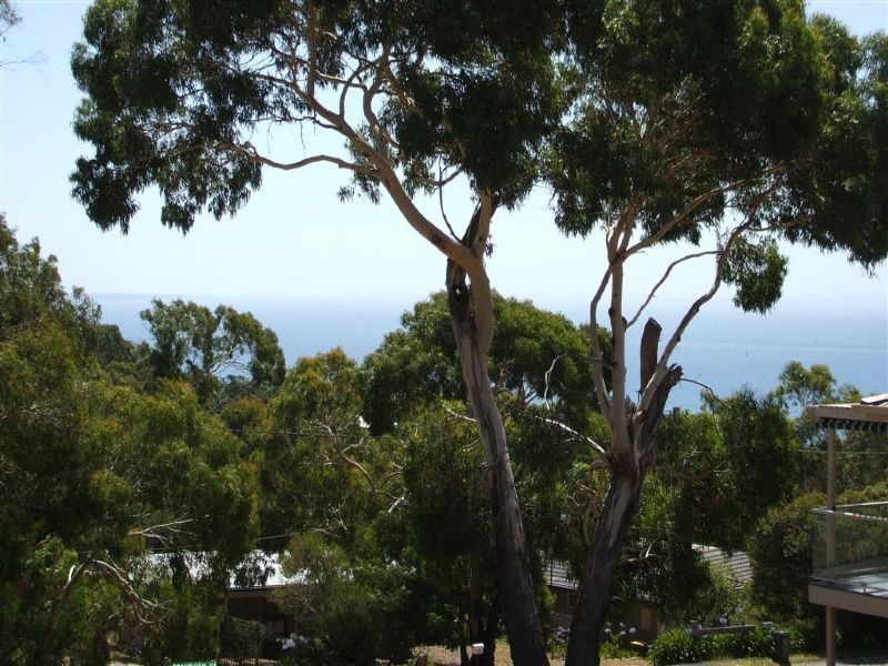 31 Arthurs Avenue, Mccrae VIC 3938