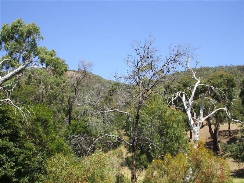 31 Arthurs Avenue, Mccrae VIC 3938