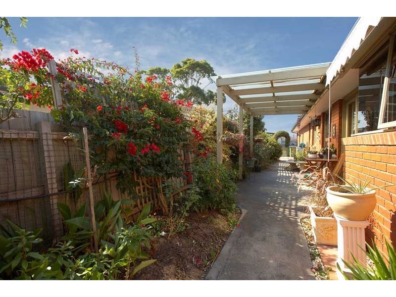 5 Palm Grove , Dromana VIC 3936