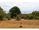 6 Boundary Road, Dromana VIC 3936
