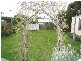 14 Basil Street, Dromana VIC 3936