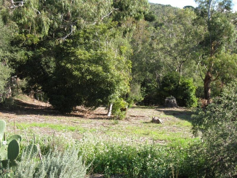 42 Scott Street, Dromana VIC 3936