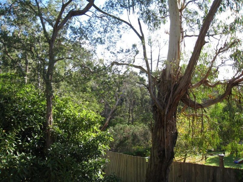 42 Scott Street, Dromana VIC 3936