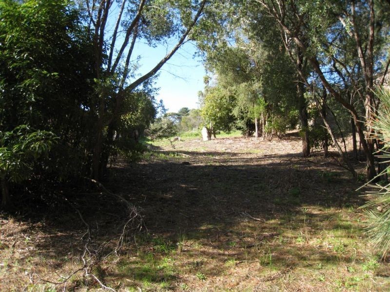 42 Scott Street, Dromana VIC 3936