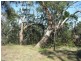 Mccrae VIC 3938