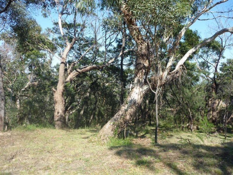 Mccrae VIC 3938