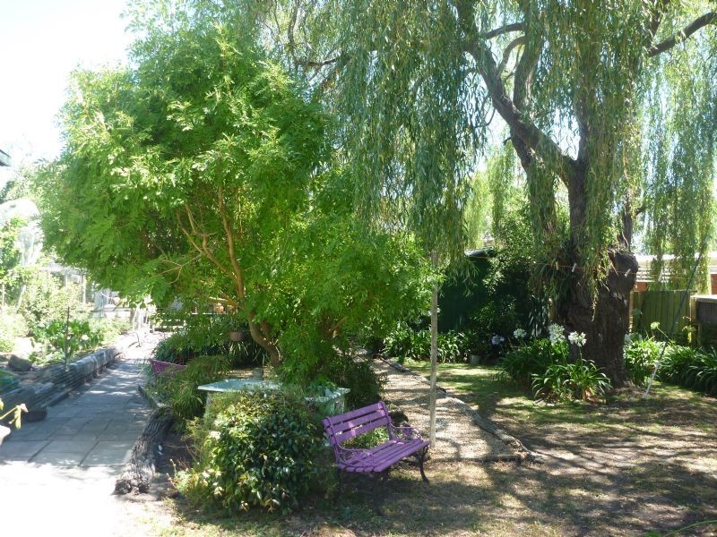 127 Rainier Avenue, Dromana VIC 3936