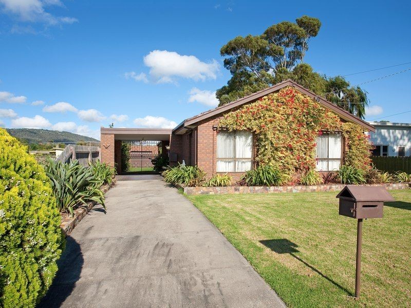 4 Palm Grove, Dromana VIC 3936