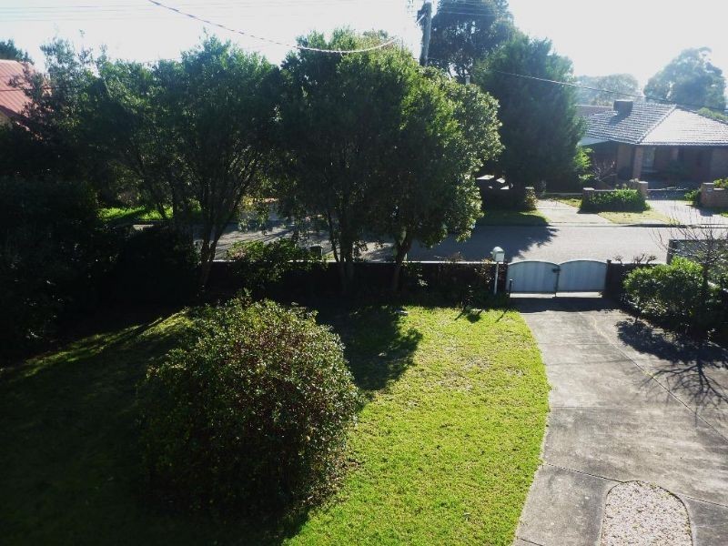 49 Canna Street, Dromana VIC 3936