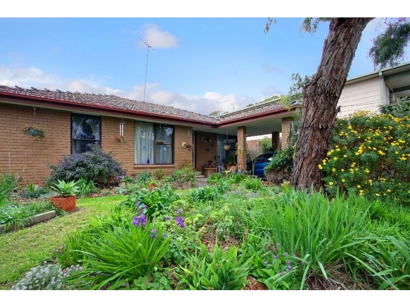 113 Palmerston Avenue, Dromana VIC 3936