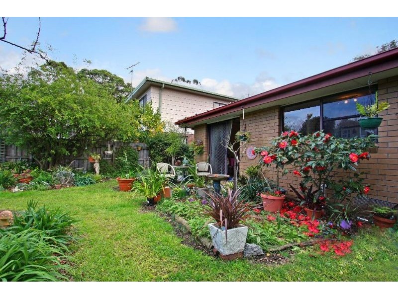 113 Palmerston Avenue, Dromana VIC 3936