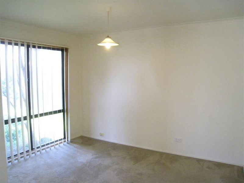 24 Canna Street, Dromana VIC 3936