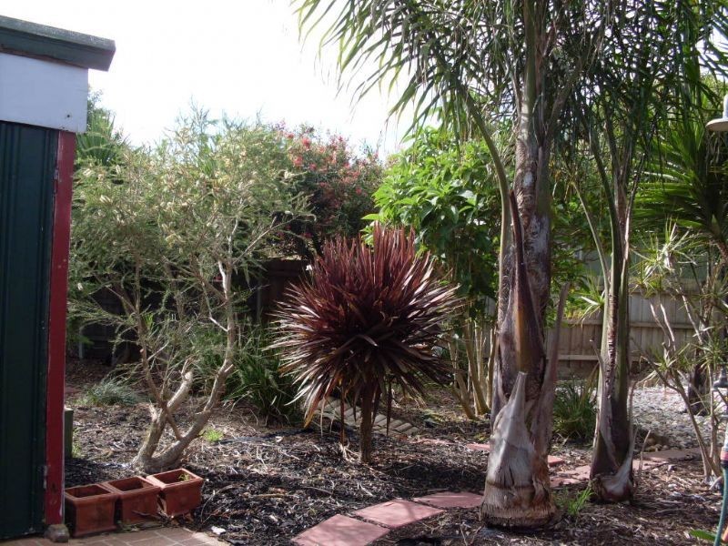 6 Dromana Parade, Safety Beach VIC 3936