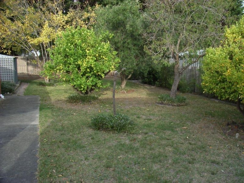 7 Corey Avenue, Dromana VIC 3936