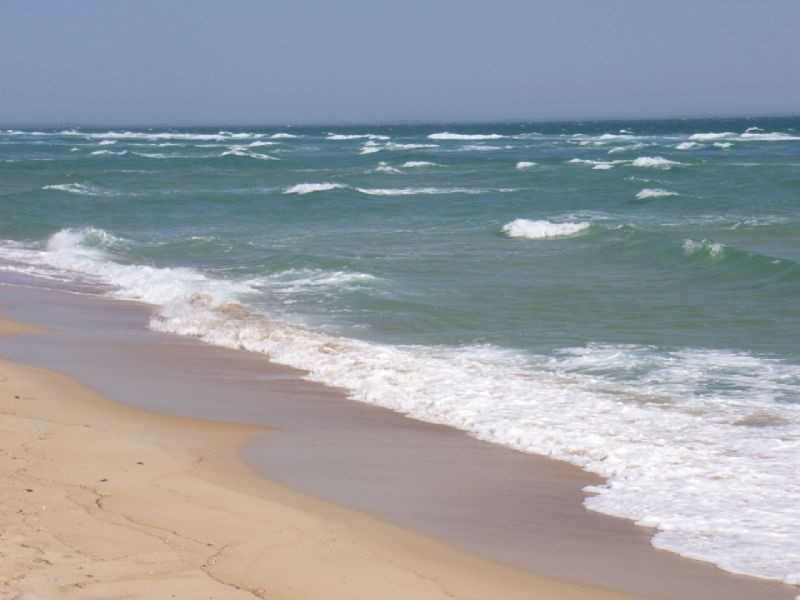 10 The Cove, Safety Beach VIC 3936