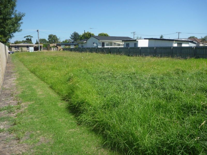 11 Palm Grove, Dromana VIC 3936