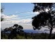9 Murray Street, Mccrae VIC 3938