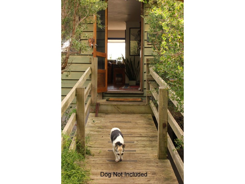 21 Burton Street, Dromana VIC 3936