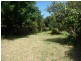 33 Macedon Avenue, Dromana VIC 3936