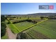 20 Pickings Lane, Dromana VIC 3936