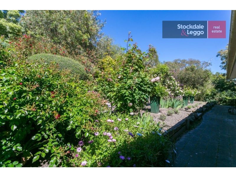 37 Anne Drive, Dromana VIC 3936