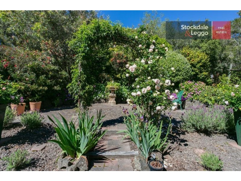 37 Anne Drive, Dromana VIC 3936