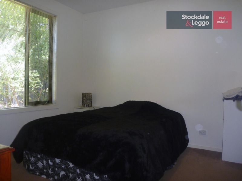 16 Williams Street, Dromana VIC 3936