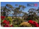 37 Anne Drive, Dromana VIC 3936