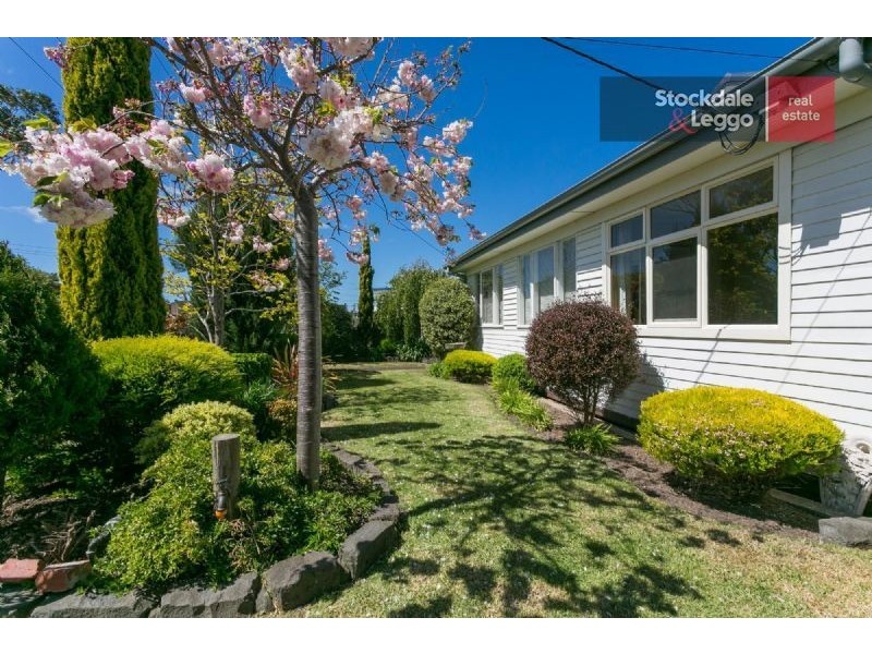 3 Spencer Avenue, Dromana VIC 3936