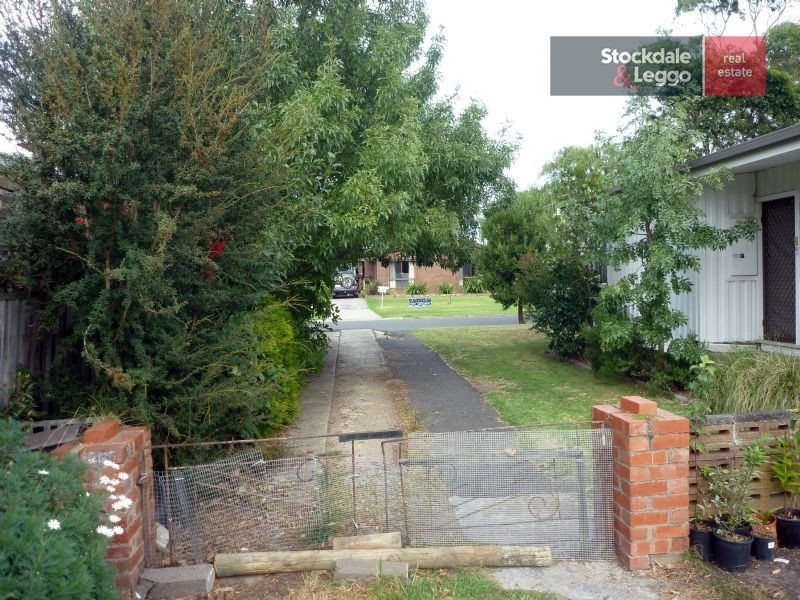 3 Palm Grove, Dromana VIC 3936