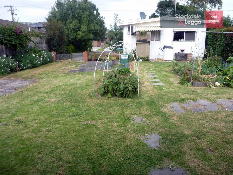 3 Palm Grove, Dromana VIC 3936