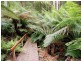 635 Beenak East Road, Gembrook VIC 3783