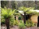 635 Beenak East Road, Gembrook VIC 3783