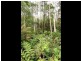 635 Beenak East Road, Gembrook VIC 3783