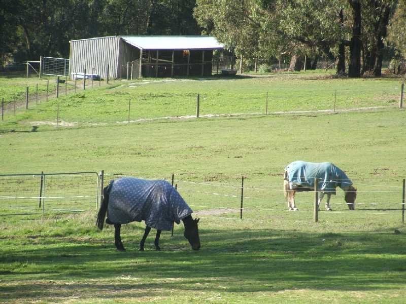 15 Cherry Road, Macclesfield VIC 3782