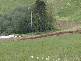 Lot 6/ Ferres Road, Emerald VIC 3782