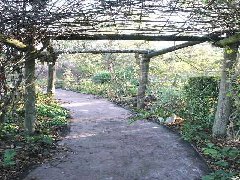 22 Yuruga Drive, Macclesfield VIC 3782