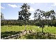 313 Evans Road, Nangana VIC 3781