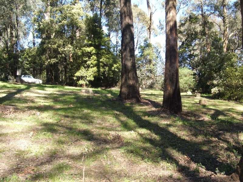 3 Ogilvy Road, Emerald VIC 3782