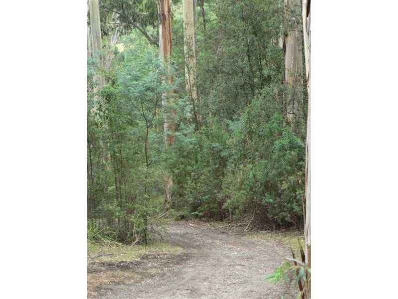 2 Kilbaha Road, Cockatoo VIC 3781