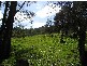 150 Soldiers Road, Gembrook VIC 3783