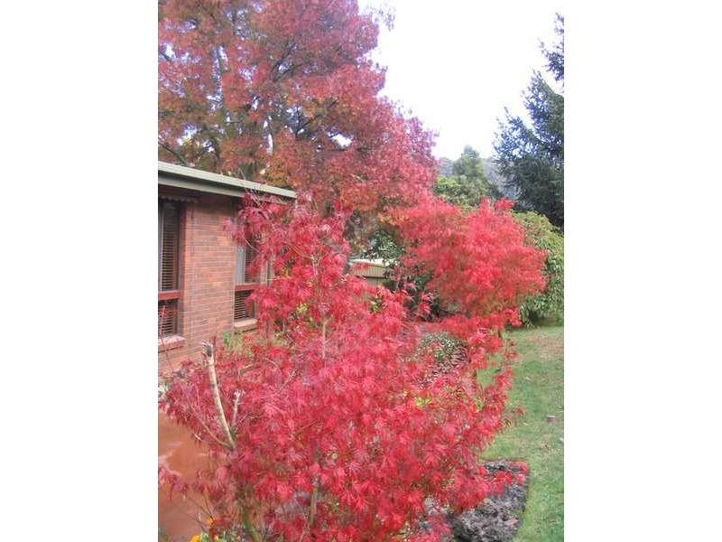 7-9 Outlook Road, Emerald VIC 3782