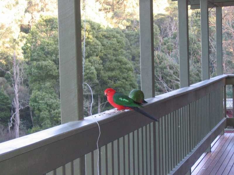 7-9 Outlook Road, Emerald VIC 3782