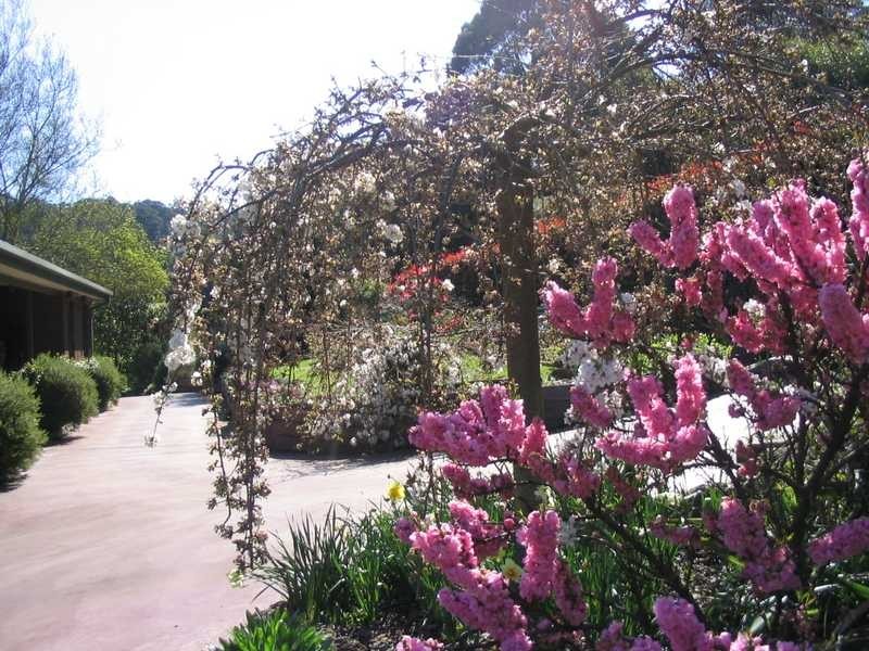 7-9 Outlook Road, Emerald VIC 3782