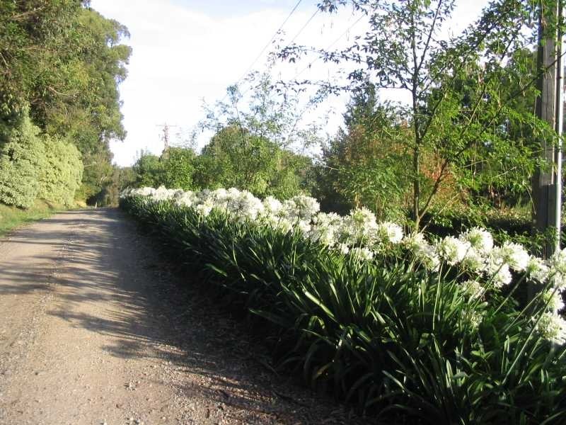 7-9 Outlook Road, Emerald VIC 3782