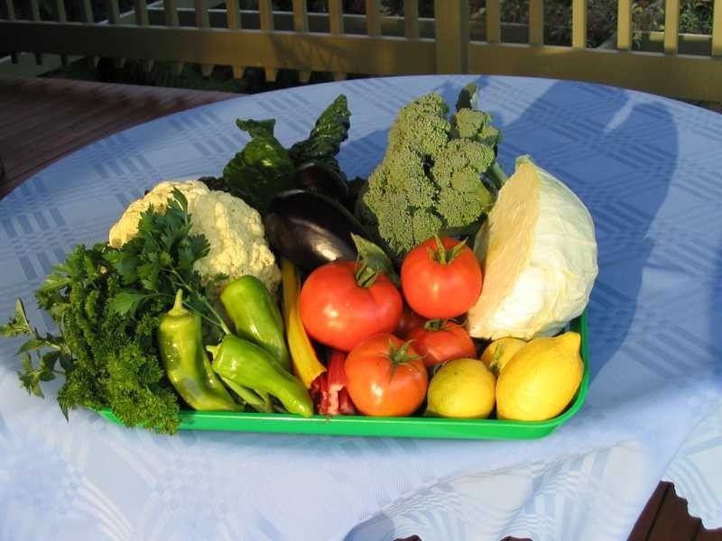 7-9 Outlook Road, Emerald VIC 3782