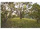 61 Warrawee Avenue, Beaconsfield VIC 3807