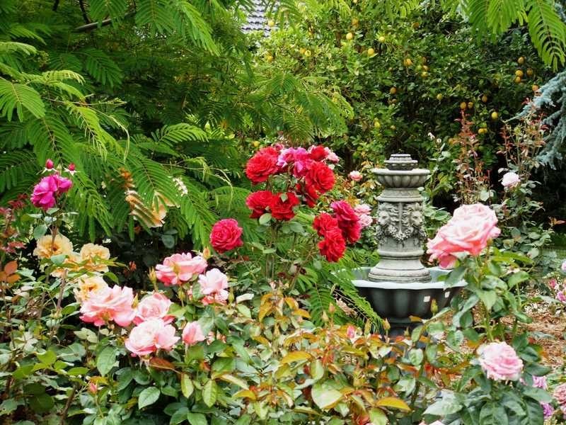 485 Evans Road, Cockatoo VIC 3781