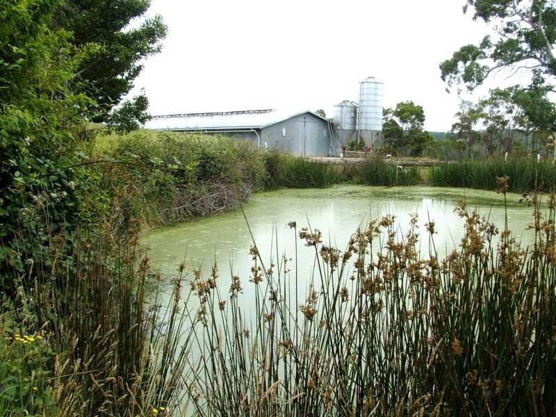 485 Evans Road, Cockatoo VIC 3781